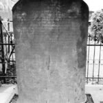 WhatsApp Image 2025-11-11 at 10.23.07 AM (1)