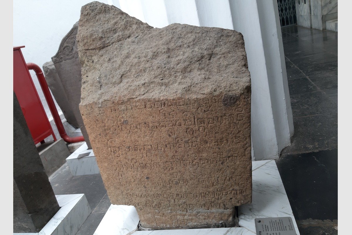 WhatsApp Image 2025-11-11 at 12.15.59 PM