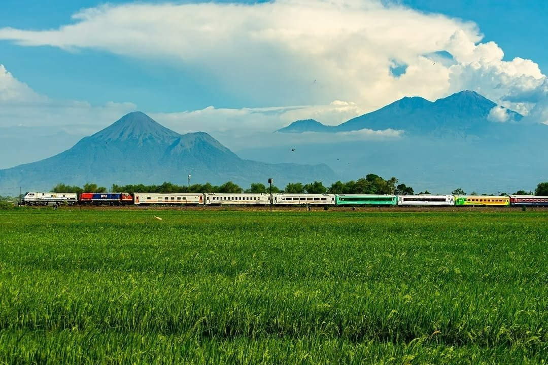 WhatsApp Image 2025-11-18 at 4.54.30 PM