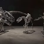 WhatsApp Image 2025-11-21 at 3.41.36 PM