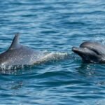 WhatsApp Image 2025-11-23 at 2.21.40 PM