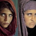 WhatsApp Image 2025-12-18 at 8.00.51 PM