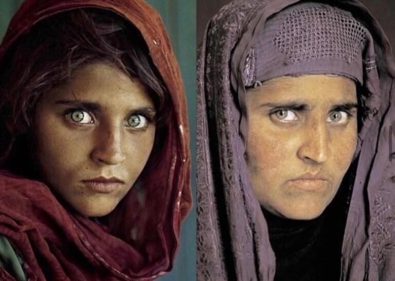 WhatsApp Image 2025-12-18 at 8.00.51 PM