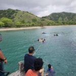 WhatsApp Image 2025-12-19 at 3.57.27 PM