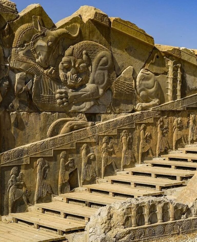 WhatsApp Image 2026-01-10 at 12.57.09 PM