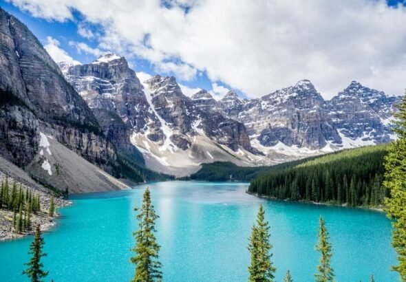 WhatsApp Image 2026-01-23 at 12.27.41 PM